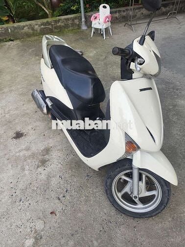 Honda Lead Trắng fi
