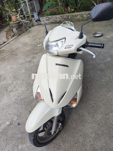 Honda Lead Trắng fi