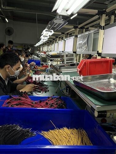 TUYỂN 50 NAM/NỮ LÀM LINH KIỆN ĐIỆN TỬ KHU CNC - Q9