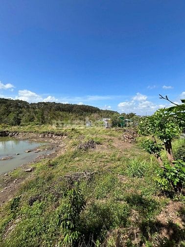 Cần bán hoặc cho thuê lô đất Tại Mai Thị Lựu, tp buôn Ma Thuột