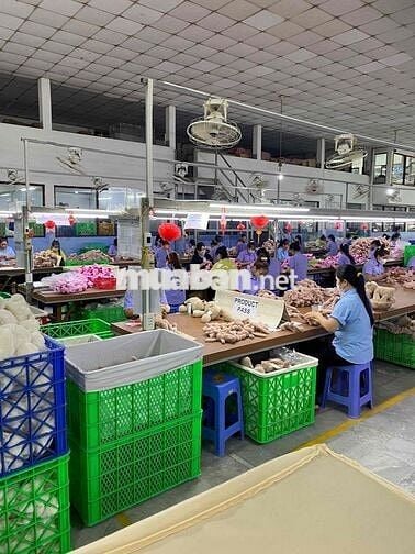 [ỨNG LƯƠNG, HÀNH CHÍNH TC, BAO CƠM] SX GẤU BÔNG