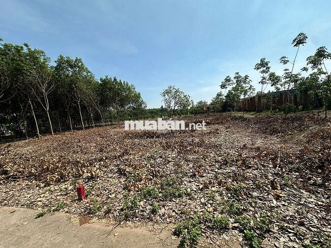 Bán đất An Linh Phú Giáo 200m² có 100m² thổ cư giá 700 triệu