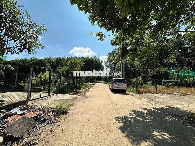 Bán đất xã Tân Hiệp, Bình Dương, đông dân cư cách DH507 100m, 338m2