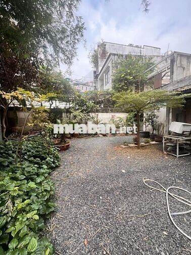 ĐẤT NGON GIẢM MẠNH.  HOÀNG HOA THÁM - HXH - SÁT MT NỞ HẬU CHỈ 4T8 TL