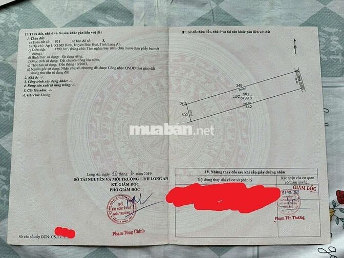 Bán đất nhà và cây ăn trái 1,1 Hecta đất tại Mỹ Bình, Đức Huệ, Long An