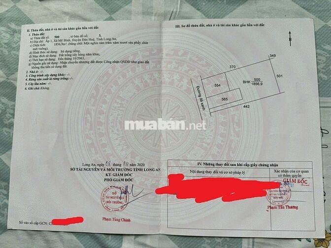 Bán đất nhà và cây ăn trái 1,1 Hecta đất tại Mỹ Bình, Đức Huệ, Long An