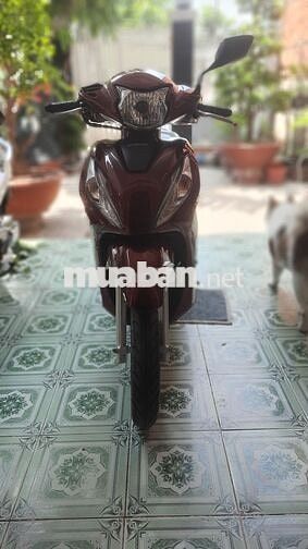 Honda Vision Đỏ 3358 km