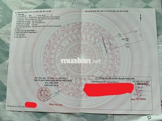Bán đất nhà và cây ăn trái 1,1 Hecta đất tại Mỹ Bình, Đức Huệ, Long An