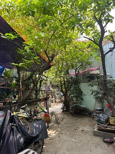 Bán 125m2 Thổ Cư Sát Vành Đai 2, SHR có sẵn Giá Nhỉnh 6 Tỷ Hỗ trợ Vay