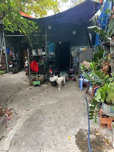 Bán 125m2 Thổ Cư Sát Vành Đai 2, SHR có sẵn Giá Nhỉnh 6 Tỷ Hỗ trợ Vay