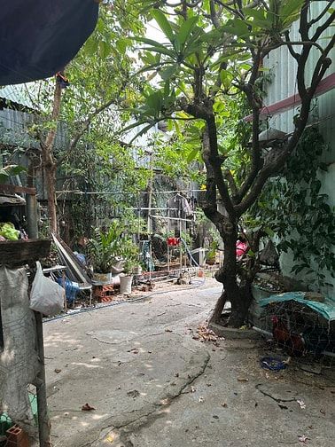 Bán 125m2 Thổ Cư Sát Vành Đai 2, SHR có sẵn Giá Nhỉnh 6 Tỷ Hỗ trợ Vay