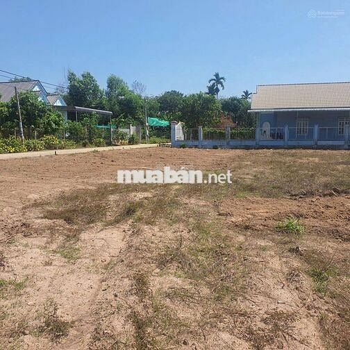 Bán đất ngay khu dân cư đông, diện tích 531m2 thổ cư sẵn 200m2, sổ sẳn