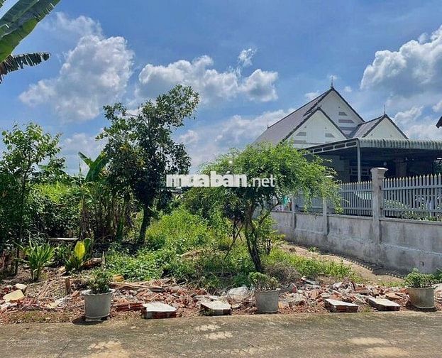 Bán đất ngay khu dân cư đông, diện tích 531m2 thổ cư sẵn 200m2, sổ sẳn