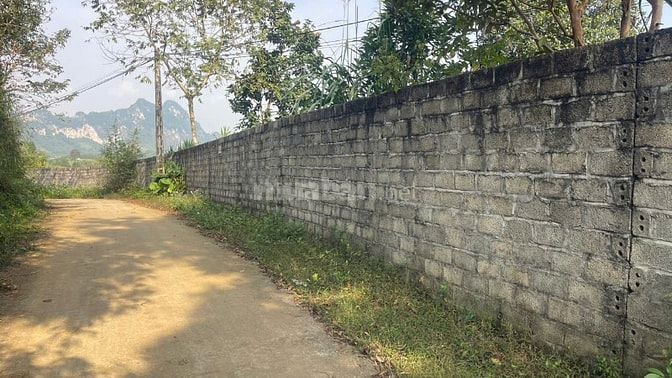 Đất Cao Phong Giá SỐC Chỉ Dưới 1 Triệu/m² Sở Hữu 6000m² View Cánh Đồng