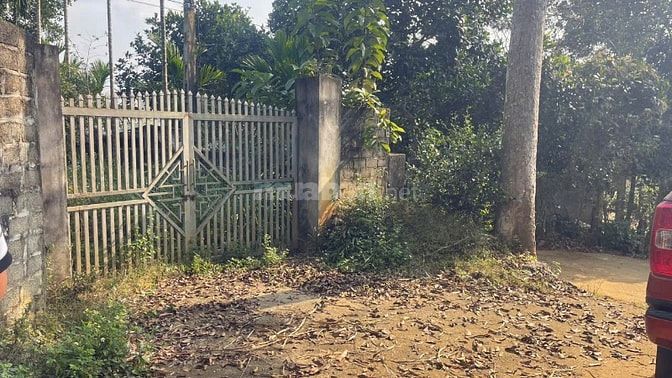 Đất Cao Phong Giá SỐC Chỉ Dưới 1 Triệu/m² Sở Hữu 6000m² View Cánh Đồng