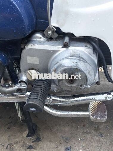 Honda Super Cub 50cc Xanh mực