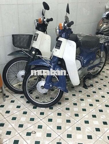 Honda Super Cub 50cc Xanh mực