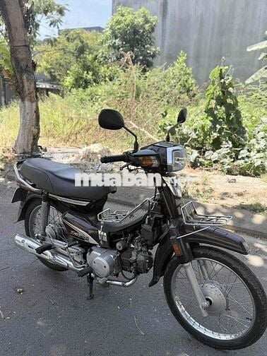 Honda Dream màu Nâu