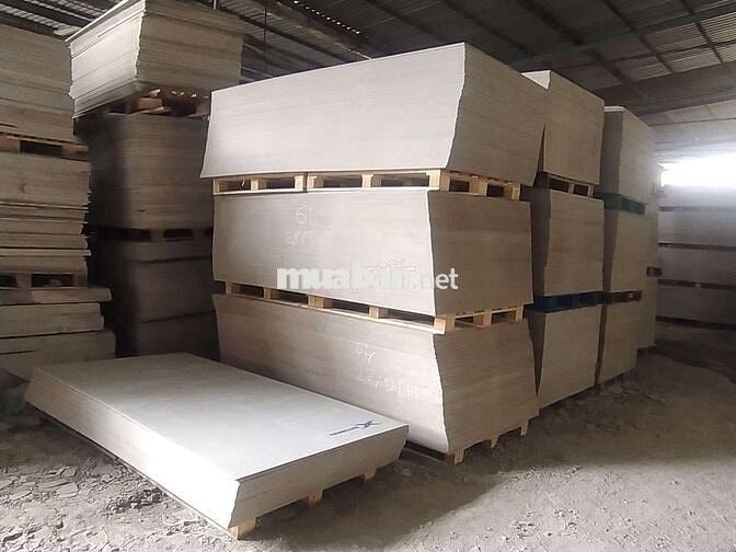 Tuyển tài xế xe tải 5 tấn