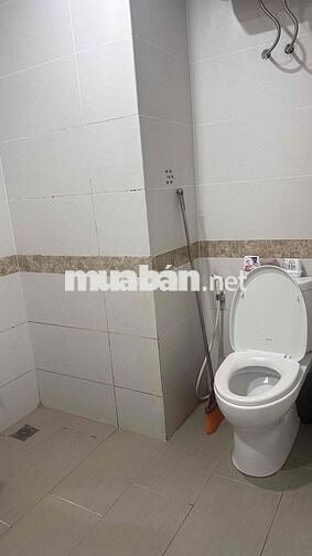 Chinh chu cho thuê  My đình plaza 2 ,dt70m 2 ngủ 2 vs ,full nội thất ,