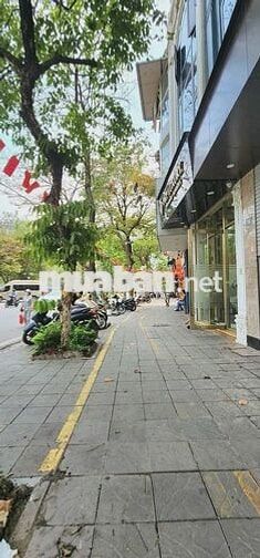 NHÀ VÕ THỊ SÁU – BIỆT THỰ PHỐ ĐẲNG CẤP – 97M² – 5 TẦNG – 46 TỶ