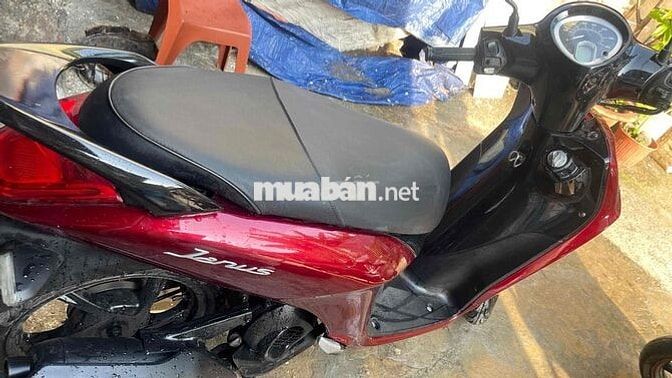 Yamaha Janus Đỏ Như mới