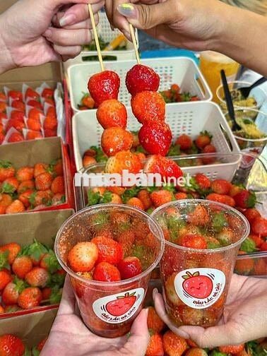 [QUẬN 6] *** NHÂN VIÊN BÁN DÂU LẮC