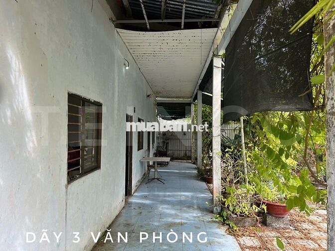 Kho xưởng bãi 1.700 m² kho xây dựng 375 m² có văn phòng, trạm điện 3P