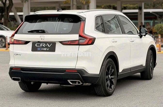 Honda CR-V e:HEV LX 2026 Trắng