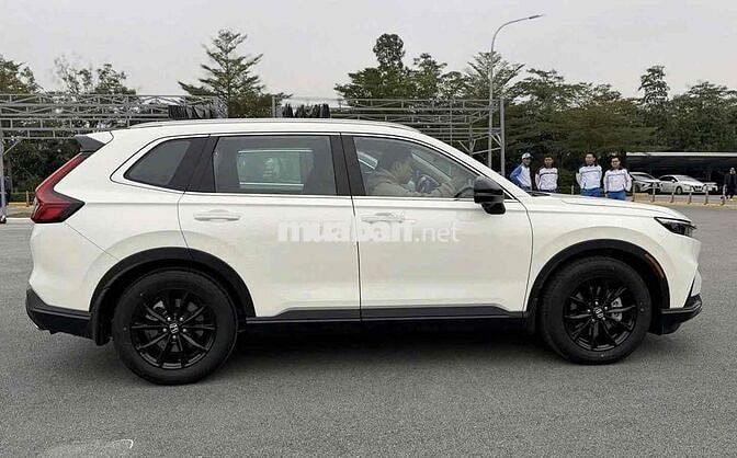 Honda CR-V e:HEV LX 2026 Trắng