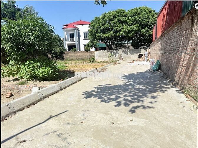 Bán đất tại Đan Tảo, xã Tân Minh, Sóc Sơn, TP Hà Nội