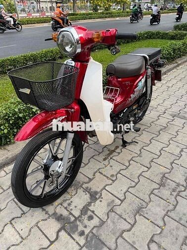 Cub 50cc 2022 Đỏ trắng ko cần bằng lái
