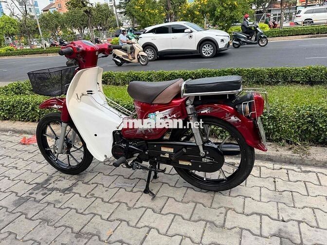 Cub 50cc 2022 Đỏ trắng ko cần bằng lái