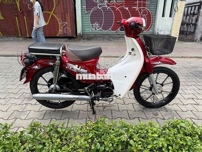 Cub 50cc 2022 Đỏ trắng ko cần bằng lái