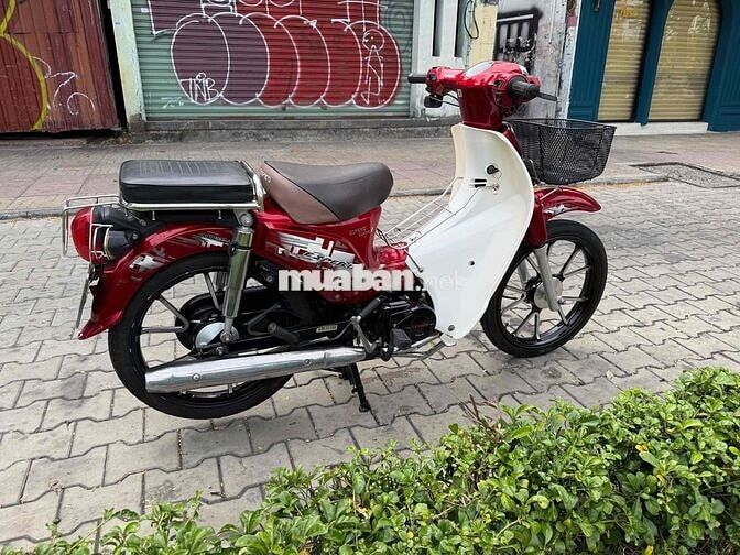 Cub 50cc 2022 Đỏ trắng ko cần bằng lái