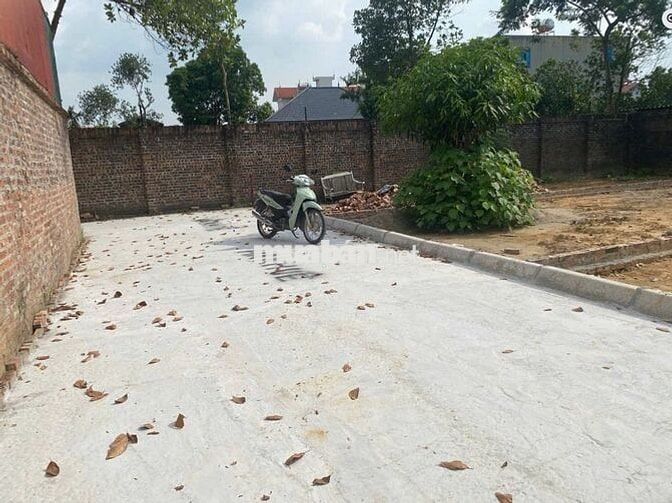 Bán đất tại Đan Tảo, xã Tân Minh, Sóc Sơn, TP Hà Nội