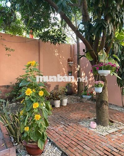 Cần Bán Nhà Sân Vườn Chế Lan Viên – 241m², Giá Tốt 28 Tỷ