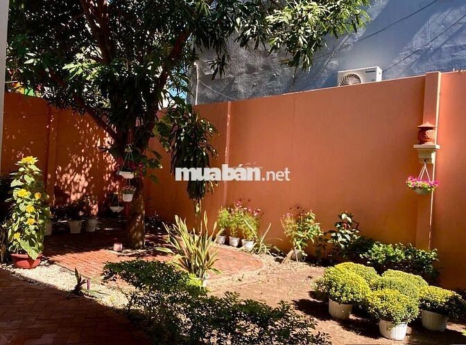 Cần Bán Nhà Sân Vườn Chế Lan Viên – 241m², Giá Tốt 28 Tỷ