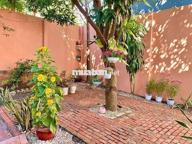 Cần Bán Nhà Sân Vườn Chế Lan Viên – 241m², Giá Tốt 28 Tỷ