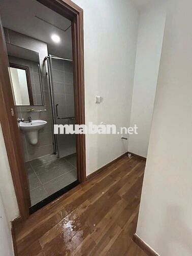 Cho thuê căn hộ Pegasuite 1– dạng Officetel Tạ Quang Bửu,  Q8. 