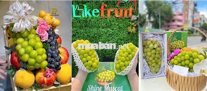 TUYỂN DỤNG NV BÁN HÀNG - QUẢN LÝ CỬA HÀNG QUẬN 11 