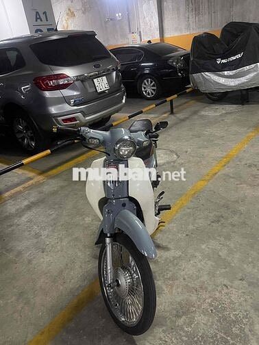 Honda Cub Xám trắng