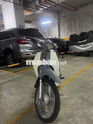 Honda Cub Xám trắng
