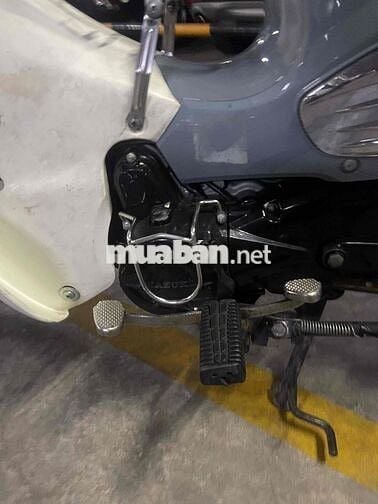 Honda Cub Xám trắng