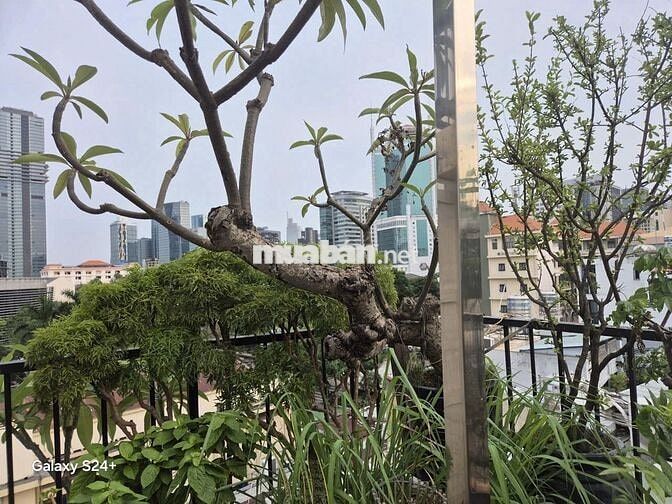 Cho thuê nguyên tầng hoặc từng phòng