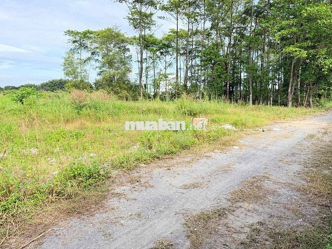 Bán 2 sào mặt tiền Đường Ông Binh,P.Tân Triều, TP.Đồng Nai
