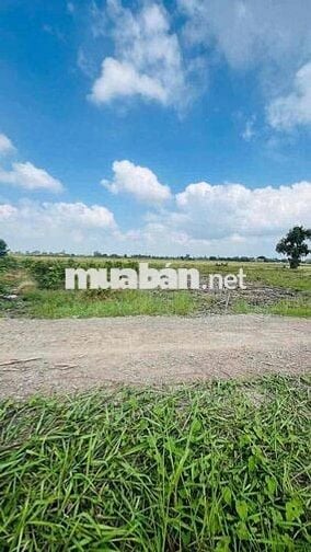1000m2 có 290m2 thổ cư giá 1tyr150tr tân thành -thủ thừa đường ô tô