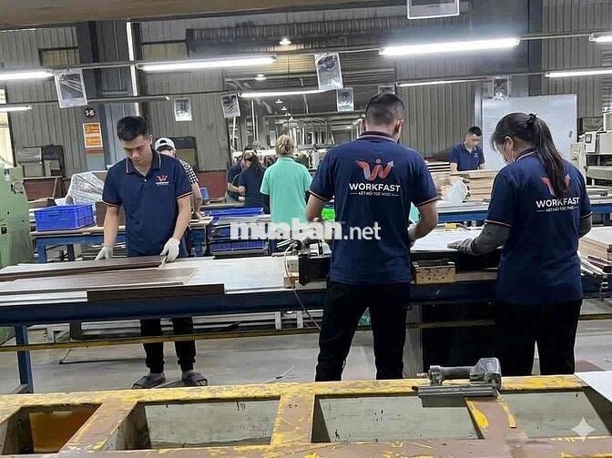 [Toàn Quốc] Tuyển CTV tuyển dụng, làm online