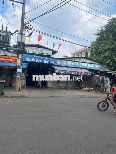 Shophouse MT Nguyễn Văn Phú, P5, Q11, ngay chợ hoa Đầm Sen, 15,3 tỷ TL