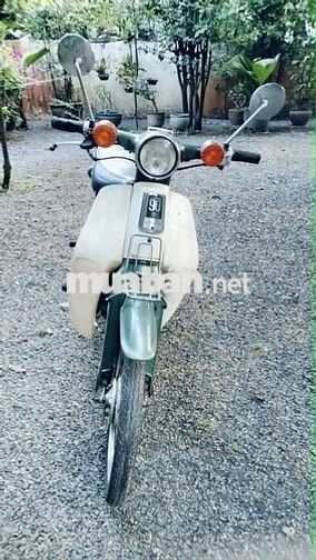 Honda Cup 90cc 1981 Xanh lá